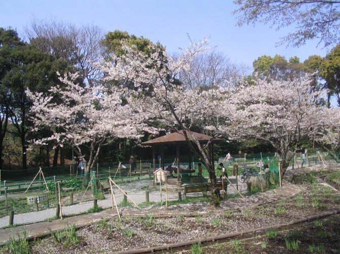 森林公園:徒歩2分(130m)
