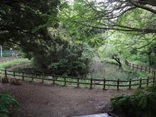 飯山満緑地公園:徒歩4分(280m)