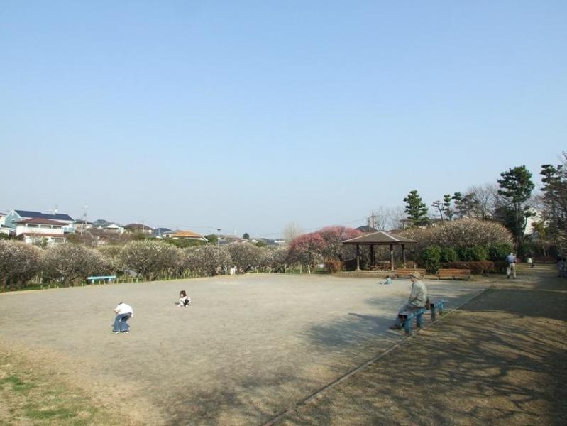 梅林公園:徒歩3分(250m)