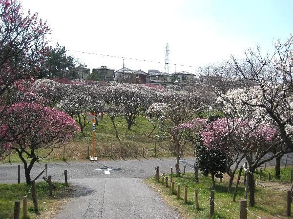 梅林公園:徒歩3分(270m)
