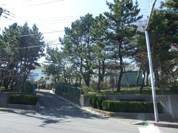 宮本中学校:徒歩10分(800m)