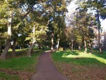 八千代台北市民の森:徒歩4分(260m)