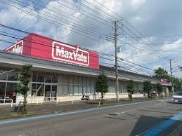 マックスバリュ習志野台店:徒歩5分(350m)