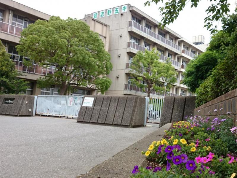 第五中学校:徒歩4分(260m)