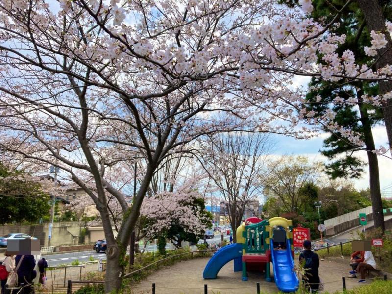 さくら公園:徒歩3分(170m)