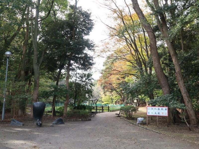 藤崎森林公園:徒歩5分(400m)