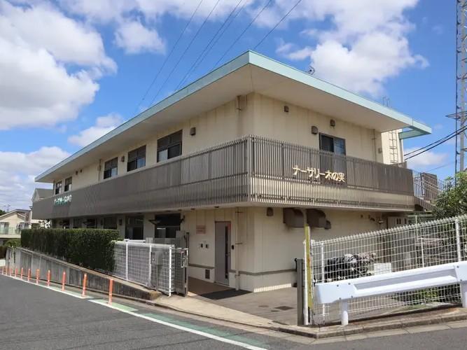 ナーサリー木の実まで250m