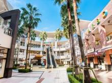 ららぽーと:車で10分(3100m)